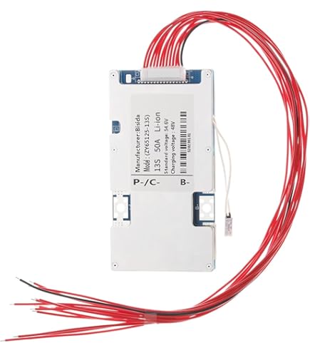 Amazon.com: Bisida 16S BMS 51.2V 50A Lifepo4 Battery Management