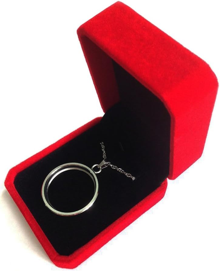 YOURSPORT Necklace for Misfit Shine 2, Silver