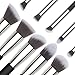 EmaxDesign Makeup Brushes Premium Makeup Brush Set, 10 Pieces Professional Foundation Blending Blush Eye Face Liquid Powder Cream Cosmetics Brushes (Silver Black)