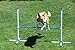 Triple A Dogs Combo 1 Dog Agility Jump/6 Dog Agility Weave Poles Buy Combo and Save, Dog Training, Dog Jumps, Dog Hurdles, Agility Equipment,