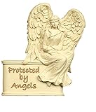 Angelstar 15773 Metal Visor