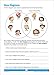 School Zone - Word Problems Workbook - 32 Pages, Ages 8 to 10, Grades 3 to 4, Addition, Subtraction, Multiplication, Math, Story Problems, Reading, and More (School Zone I Know It!® Workbook Series)