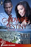 Midwife to Destiny (Destiny African Romance #1) (Destiny African Romance Series)