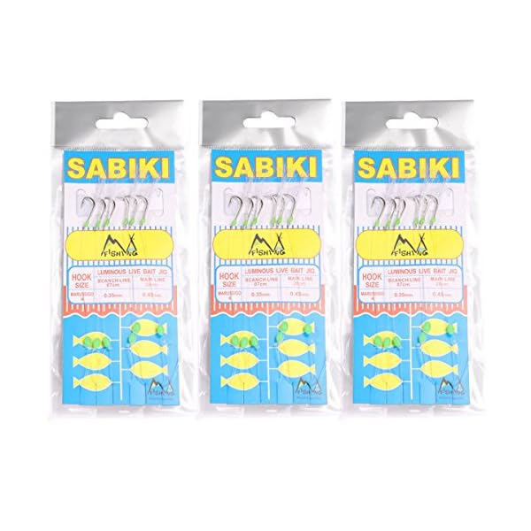 Mizugiwa-10-Packs-Freshwatersaltwater-Fishing-Sabiki-Bait-Rigs-Fish-Feather-4-Hooks