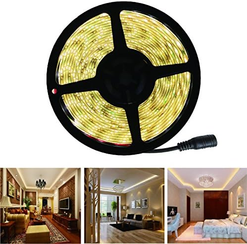 RoLightic SMD3528 Waterproof Warm White LED Strip light,5M 16.4ft Roll 300LEDs 3000K DC 12V LED Light Strip (Warm White)