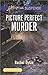 Picture Perfect Murder (Love Inspired Suspense)