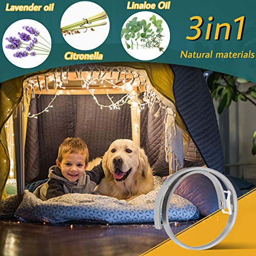 Collar-antipulgas-para-Perros-Collar-antipulgas-de-Seguridad-Natural-para-Perros-Collar-antipulgas-Ajustable-Collar-Impermeable-contra-pulgas-para-Perros-proteccion-de-8-Meses-Talla-unica