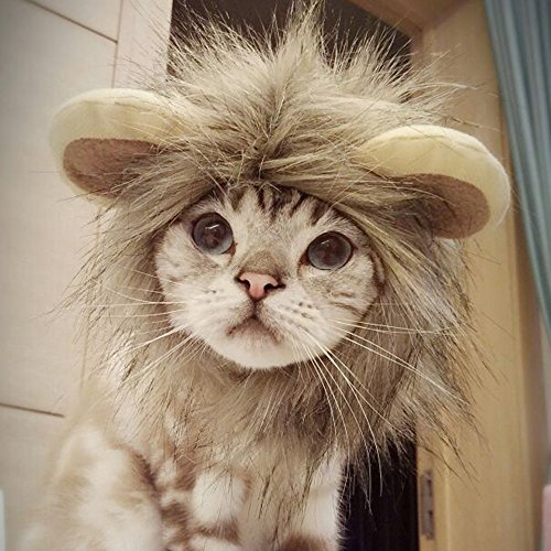 CPPSLEE Lion Mane Wig Costume for Cat (Gray) - Thumbnail 5