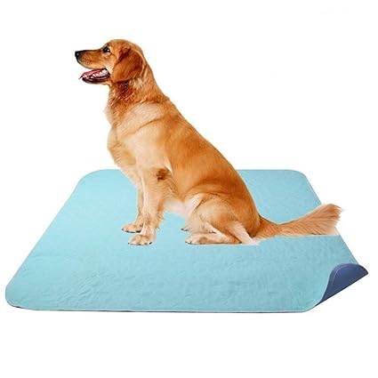 boy dog pee pads