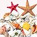 Anyumocz Sea Shells Mixed Beach Seashells- Natural Colorful Sea Shells Starfish Perfect for Candle Making,Home Decorations,Fish Tank and Vase Fillers,Beach Theme Party Wedding Decor, DIY Crafts