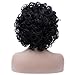 Mildiso Wigs for Black Women Short Wig Kinky Curly Wigs Afro Wigs African American Women Wigs with Wig Cap M036