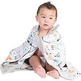 Boritar Baby Blanket for Boys and Girls Soft Minky With Double Layer Dotted Backing, Lovely Indian Style Tent Printed 30