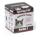 Gund Grumpy Cat Surprise Plush Blind Box Series #1 Plus