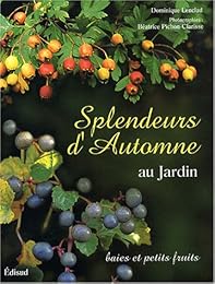 Splendeurs d'automne au jardin