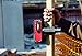 Leica RVL100 Receiver LINO Laser Receiver for Use with Line Lasers, Red/Black