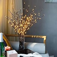 Novobey Lighted Twig Branches Lights, 30 Inches 20 LED Battery Operated Artificial Tree Willow Branches Lamp for Home Holiday Party Decoration Decor (Warm White)