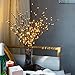 Novobey Lighted Twig Branches Lights, 30 Inches 20 LED Battery Operated Artificial Tree Willow Branches Lamp for Home Holiday Party Decoration Decor (Warm White)
