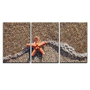 3 Piece Canvas Wall Art - Summer Vacations - Starfish in Water Waves on Sea Sand Beach - Modern Home Art Stretched and Framed Ready to Hang - 16"x24"x3 Panels