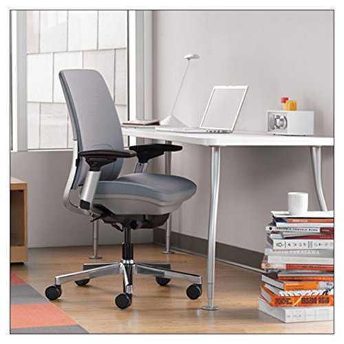Steelcase Amia Ergonomic Office Chair with Adjustable Back Tension and