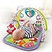 Fisher-Price Woodland Friends 3-in-1 Musical Activity Gym
