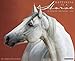 Happiness Is A Horse 18-Month 2015 Calendar