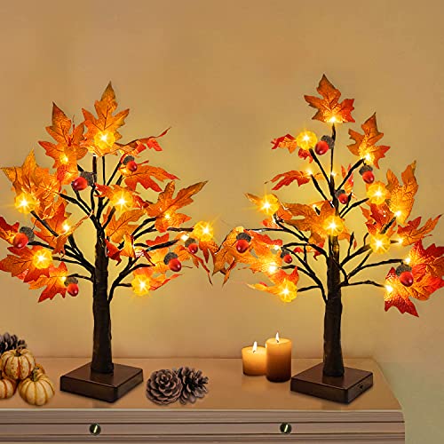 Photo 1 of TURNMEON 2 Pack 18 Inch Prelit Fall Maple Tree Thanksgiving Decorations with 48 LEDs Timer Battery Operated Lighted Pumpkins 6 Acorn Tabletop Home