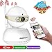Home Camera, Pet Camera, POWERIVER WiFi IP Camera, Security Surveillance Dome Camera, Angle Control, Night Vision Two-Way Audio, Motion Detection, Remote Control with Smart Phone/PC