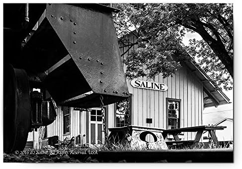 Postcards: 1870 Saline Railroad Depot track-level view (10-pack)