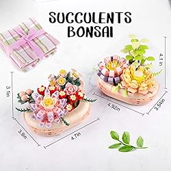 Succulent Bonsai Model Collection Construction
