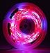 Led Grow Light Ledy 3.2ft 5050 Waterproof Flexible Soft Strip Grow Light for Plant Flower Seeds Seedlings Growing Red Blue 4:1 with DC 12V 2A Adaptor