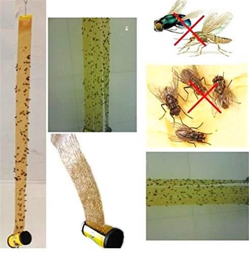 1 EatingBiting%25EF%25BC%2588R%25EF%25BC%25894+Catcher+closets+basements+garages