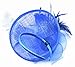 Womens Feather Mesh Fascinator Hat with Headband Royal Blue