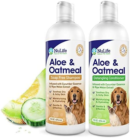 aloe vera for dogs itchy skin