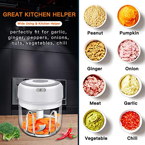 Electric Mini Food Chopper, Cordless Electric Chooper Mini Garlic