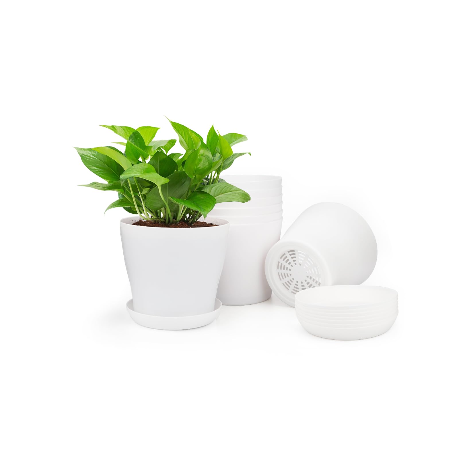 KINGLAKE 16 Pcs Small Plant Pots Indoor 10cm Plastic Flower Pots, White Plastic Plant Pots with Saucers to Decorate, Round Flower Seedling Pots for Cactus Succulent House Plants