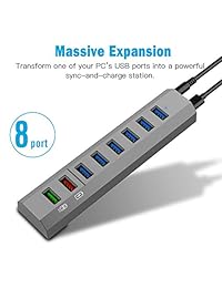 8 puertos USB Hub, raoyi alimentado por HUB USB 3.0, 6 puertos USB 3.0 Hub con adaptador de alimentación de 12 V, 3.3 ft Cable USB de datos para MacBook, mouse, portátil, PC, USB Flash Drives, disco duro, Gris