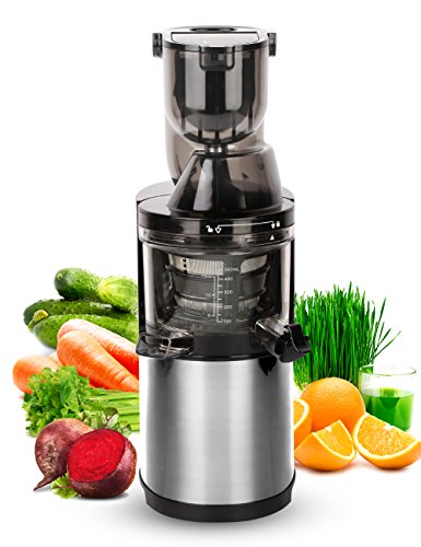Slow Masticating Juicer with Low Speed Technology for Retaining Nurtients, Masticating Juicer,250Watt Quietly Motor, 50RPMs, Whole Slow Juicer, Silver