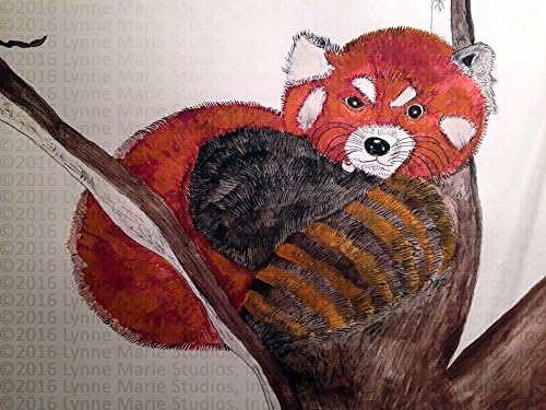 Print - Animal Red Panda 13" x 19" Fine Art Print