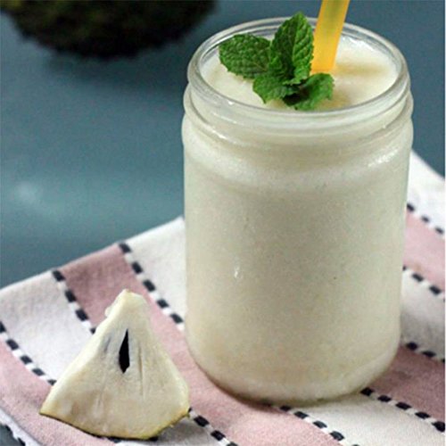 20Pcs Soursop Tropical Fruit Custard Apple Graviola Annona Muricata Seeds