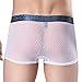 Vogyal Men See Through Underwear Sexy Mens Lingerie Mesh Breathable Boxer Briefs(Pack of 4)