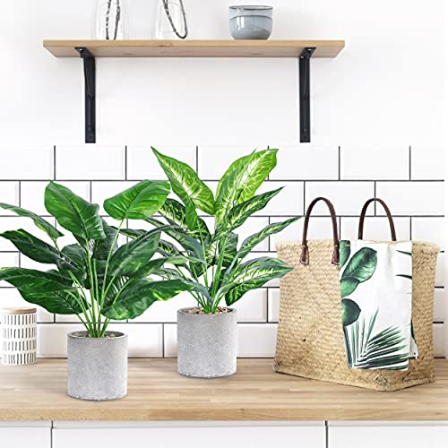 JC nateva 2pcs 16" Fake Plants Artificial Plants for Farmhouse Bathroom Kitchen Office Home Decor Indoor - Image 5