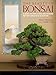 The Beauty of Bonsai: A Guide to Displaying and Viewing Nature's Exquisite Sculpture by