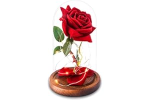AGGUT Beauty and The Beast Rose Flowers,Womens Gifts for Christmas,Artificial Flower Gift Romantic Red Silk Rose, Flower in Glass Dome Women Gifts for Her,Wife,Mom,Valentines,Anniversary