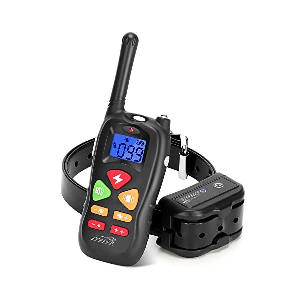 peston dog training collar customer service