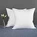 YSTHER Down Feather Throw Pillow Inserts 20x20 Set of 2 Firm Large Lumbar Pillows for Bed Decorative Couch Soft Pillows for Sleeping Indoor White Cotton Pillow Sofa Travel