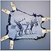Wise Linkers Rug Animal Hide Hanging Wall Clips Rug Grippers/Rug Clips/Rug Hangers from (Chrome)