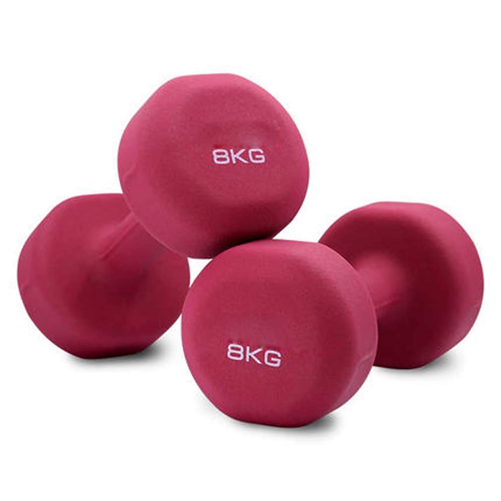 Hand Weights Amazon 8kg Dumbbells Coated Cast Iron Dumbells