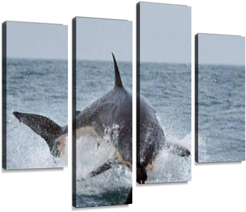 YKing1 Great White Shark Breach, Seal Island. Wall Art Painting Pictures Print On Canvas Stretched & Framed Artworks Modern Hanging Posters Home Decor 4PANEL