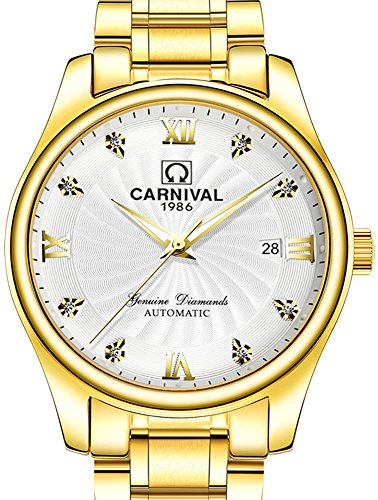 TEINTOPCarnival Men's Automatic Mechanical Business Watch Analog Luminous Calendar Stainless Steel Band (All Gold White)