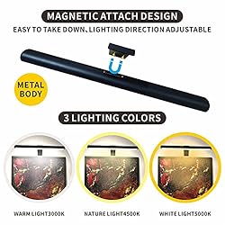 Xuolder LED Picture Lights,16 Inch Wireless Art